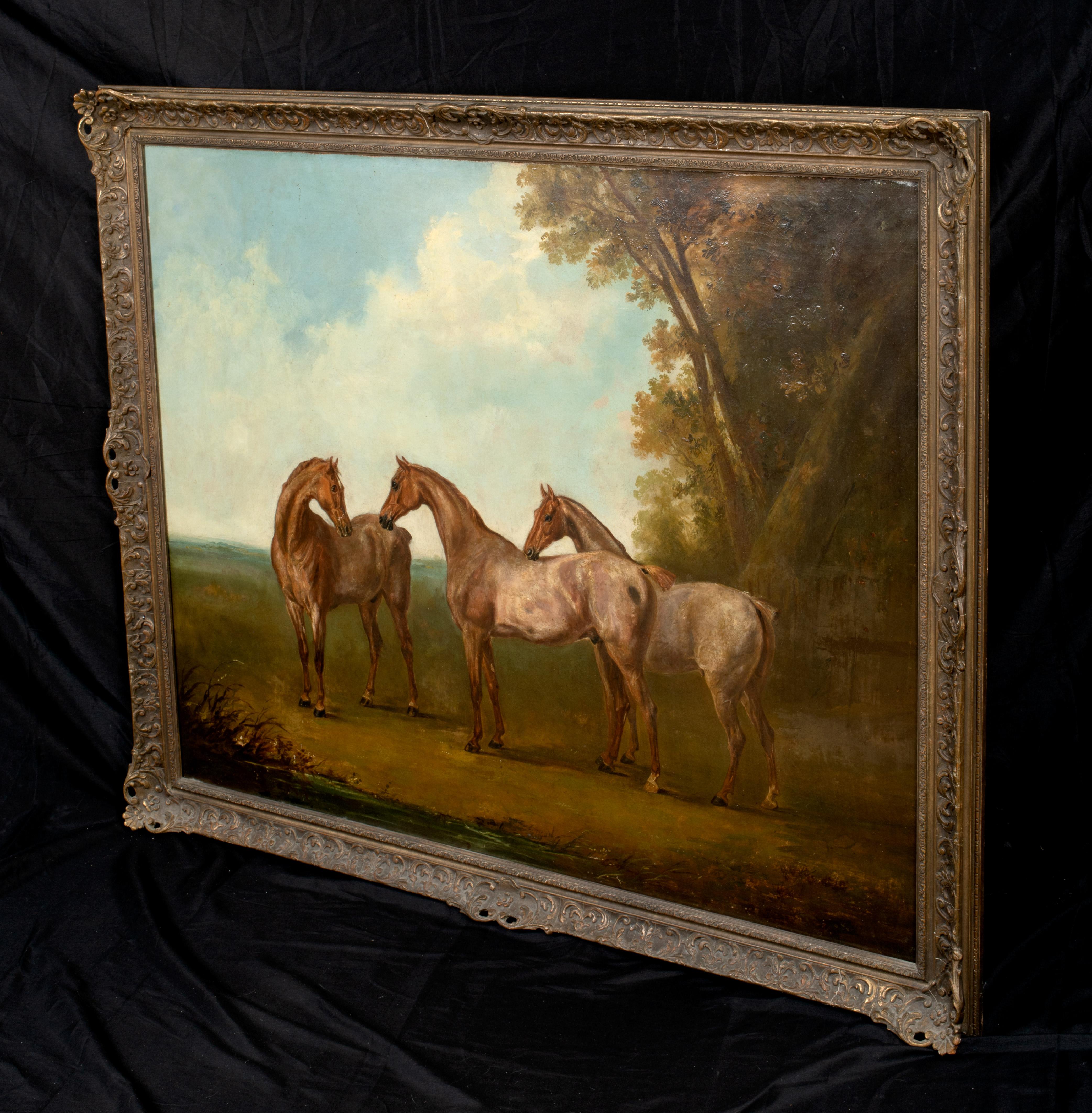 The Bay Hunters In a Landscape, 19th Century 

circle fo John E. FERNELEY (1782-1860) - Rare huge circa 1850 equestrian study

Large 19th Century English landscape with three bay hunters in an opening, oil on canvas. Excellent quality and condition,
