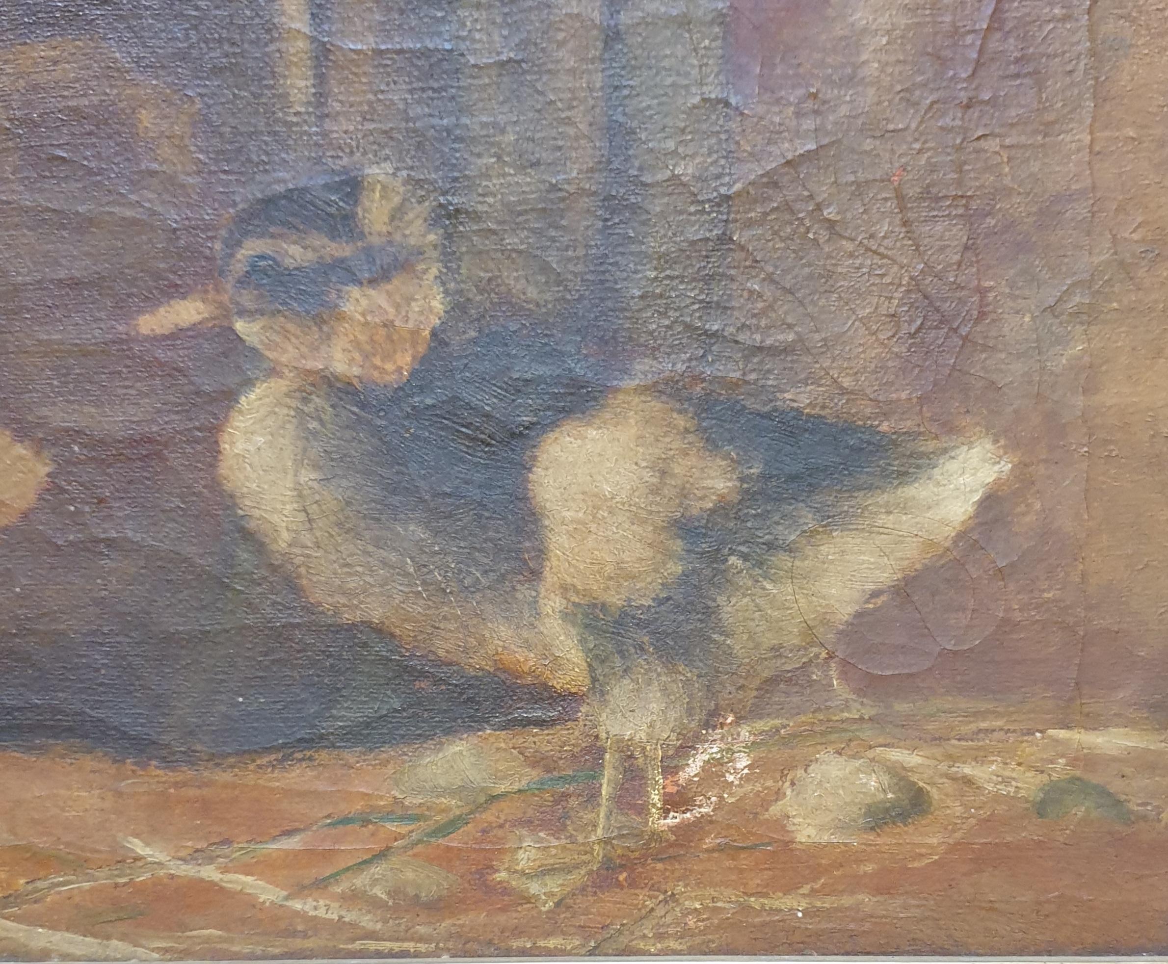 Gli anatroccoli'. Olio su tela della fine del XIX secolo. - Painting Naturalismo di Unknown