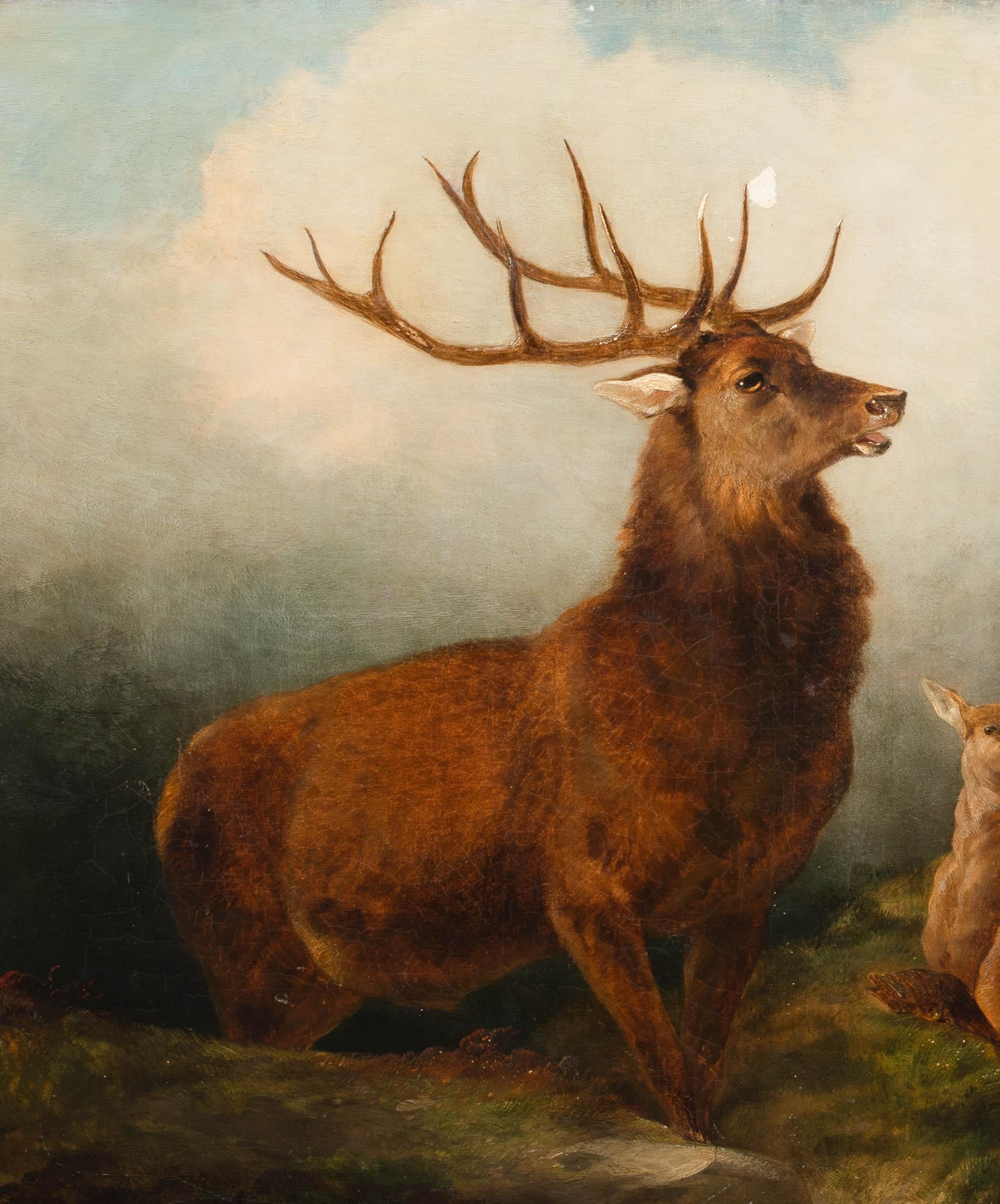 The Monarch Of The Glen, 19th Century

by John W Morris (1865-1924)

Huge 19th Century Scottish Highland scene of a stag, deer and fawns, oil on canvas by John W Morris. Large expensive Highland scane of a family of deer with the stag in the