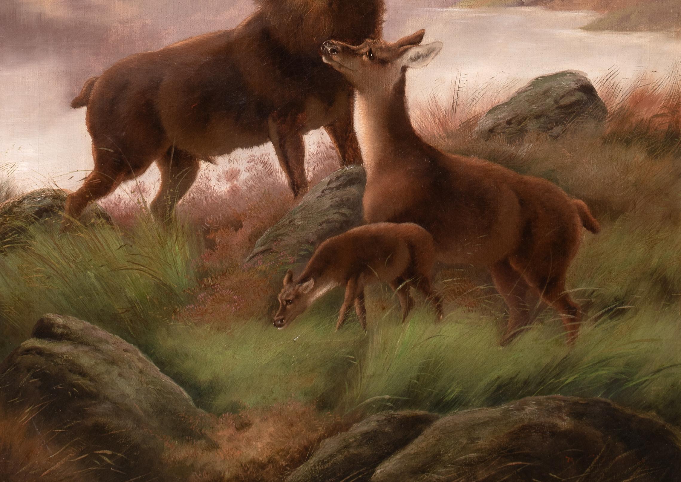 Il Monarca del Glen, XIX secolo - Cervo e cerbiatto delle Highlands Sottish in vendita 6