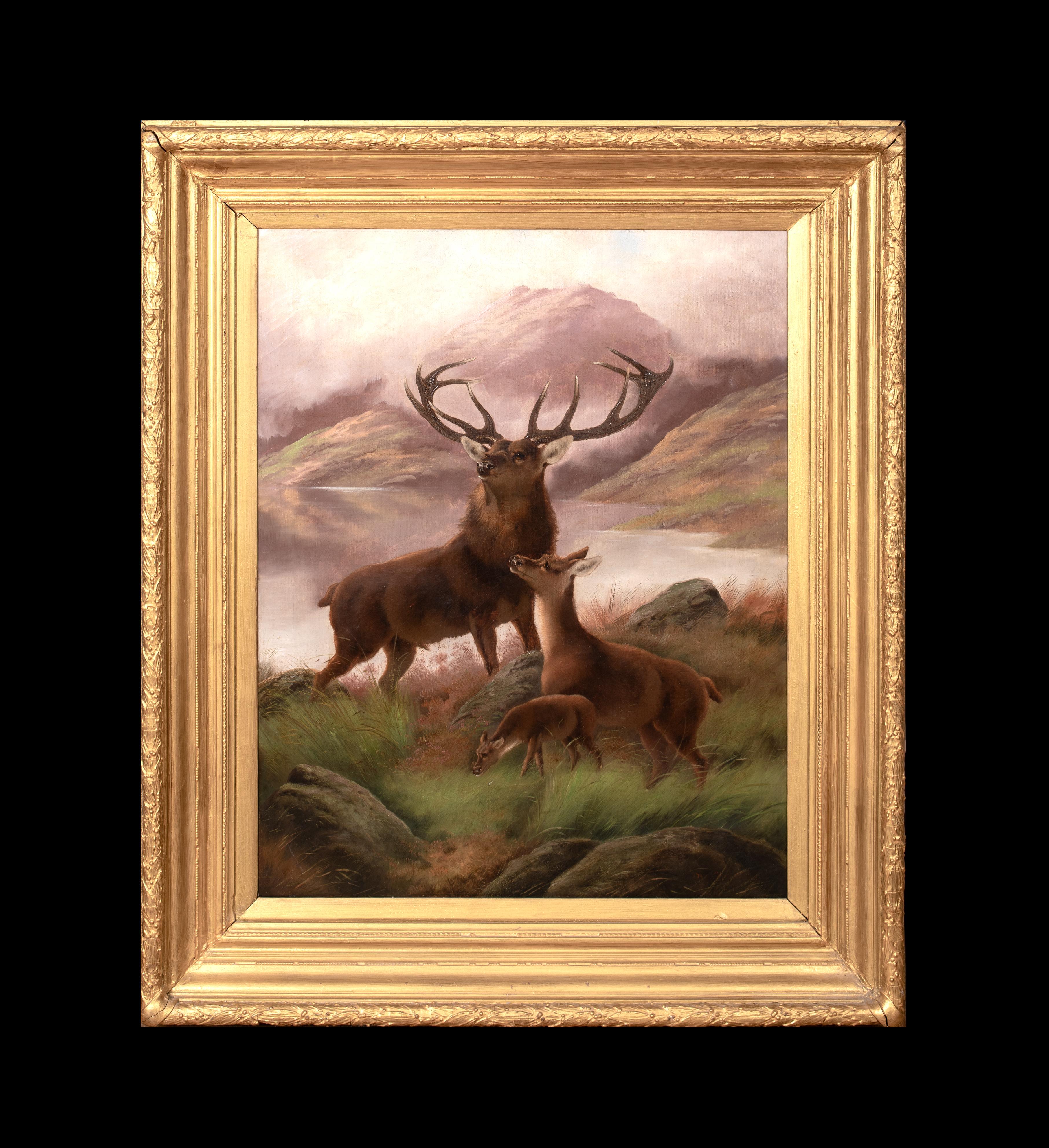 Il Monarca del Glen, XIX secolo - Cervo e cerbiatto delle Highlands Sottish - Painting di Unknown