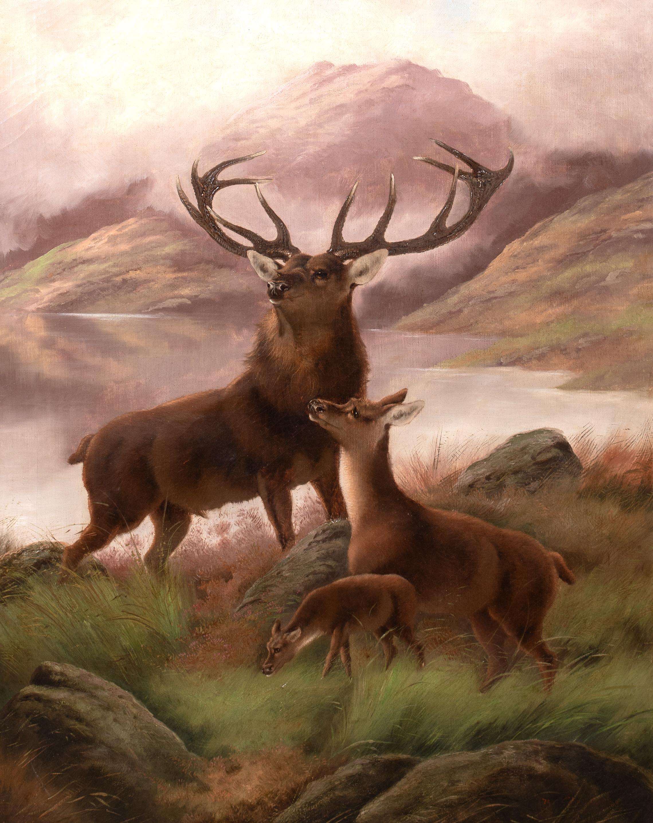 Il Monarca del Glen, XIX secolo - Cervo e cerbiatto delle Highlands Sottish - Animal Painting Beige di Unknown