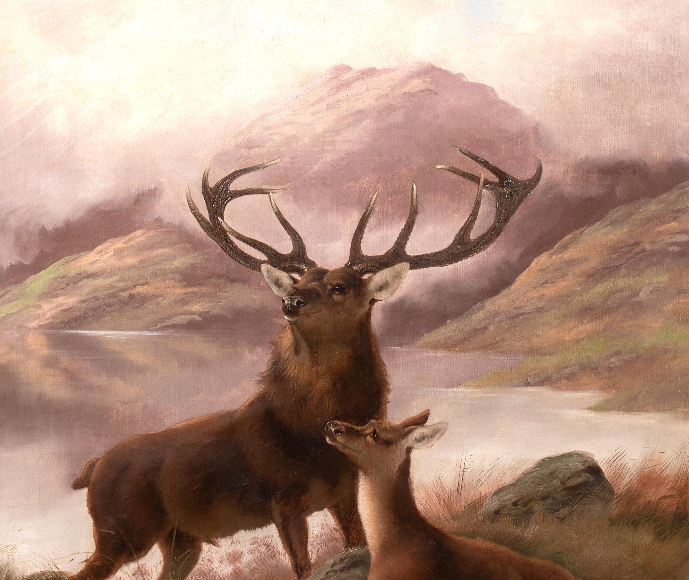 Il Monarca del Glen, XIX secolo - Cervo e cerbiatto delle Highlands Sottish in vendita 3