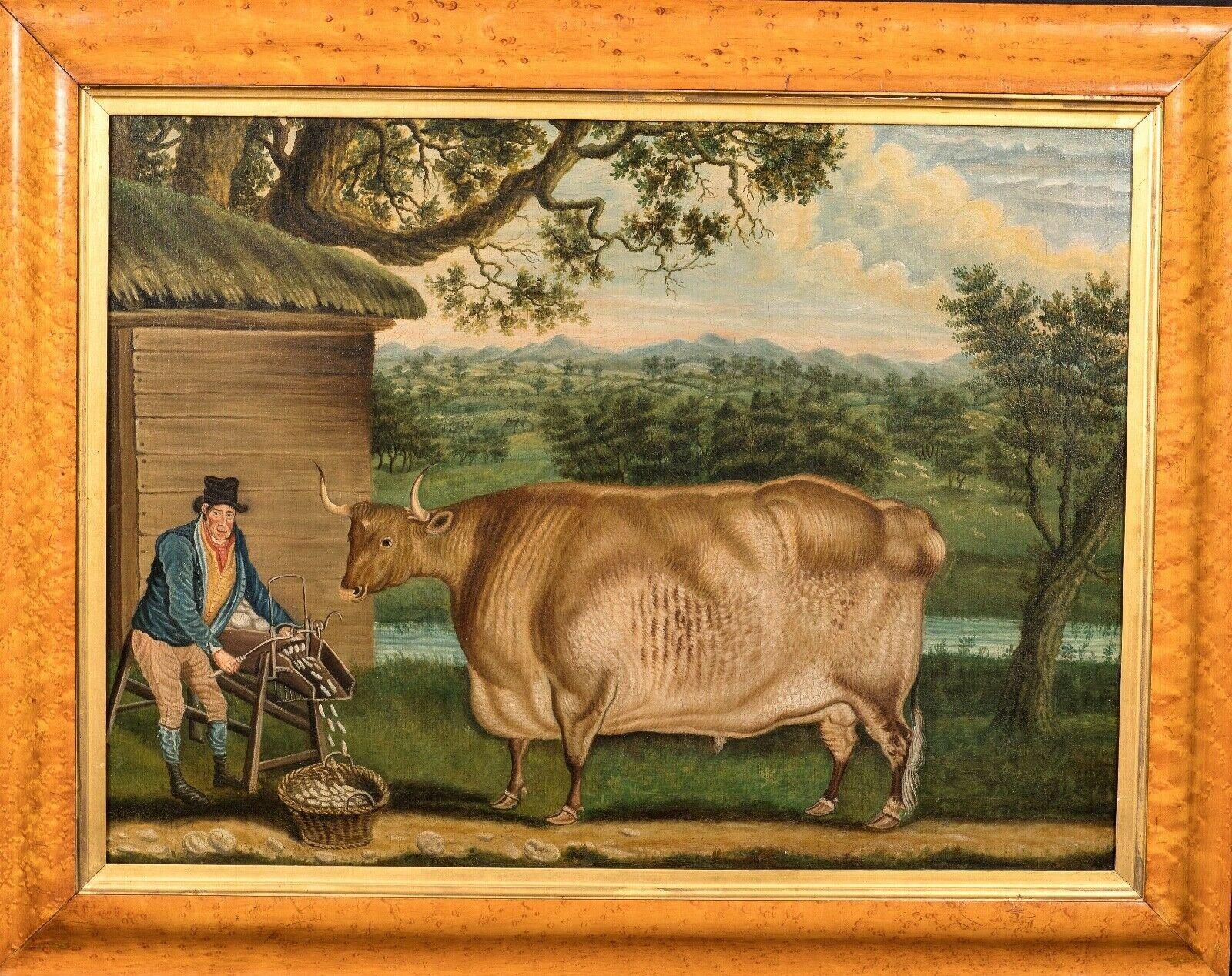 The Newbus Ox, 18th Century   - Painting by Unknown