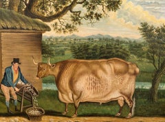 The Newbus Ox, 18th Century  