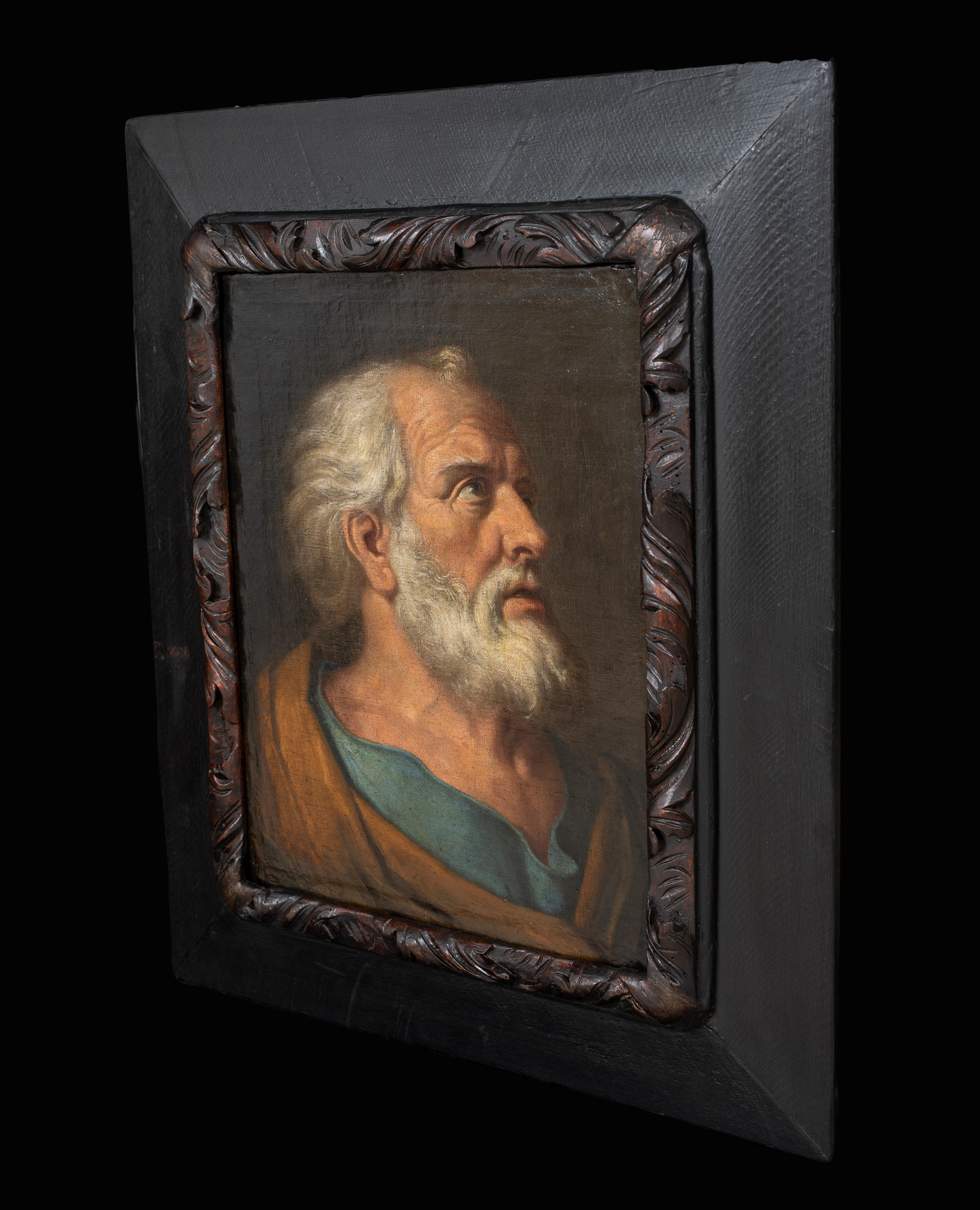 San Pietro penitente, XVII secolo, attribuito a Donato Creti (1671-1749) 5