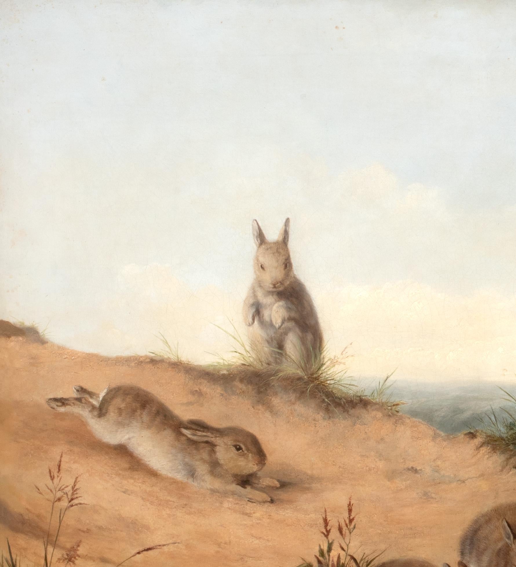 The Rabbit Family, 19th Century   by Henry Barnard Gray (1844-1871)  For Sale 7