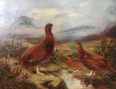 The Red Grouse, Fine Scottish Antique Oil Painting