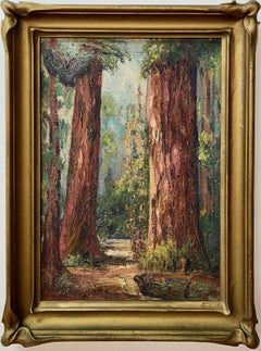 La belleza intemporal de las secuoyas de California