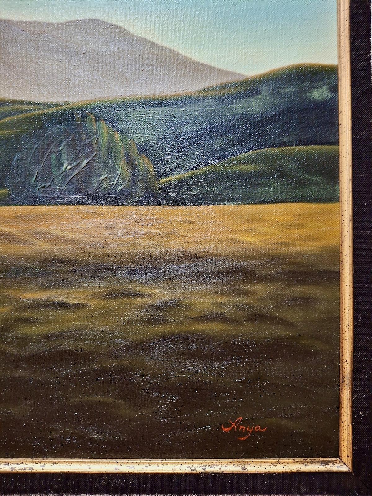 The Wide Open Spaces For Sale 1