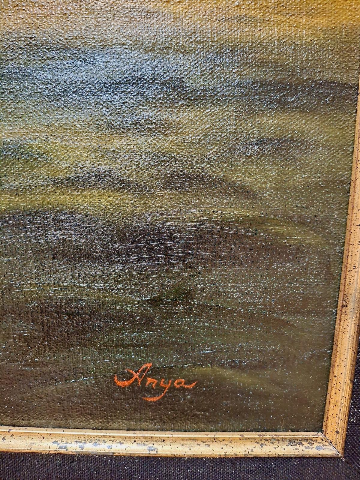 The Wide Open Spaces For Sale 2