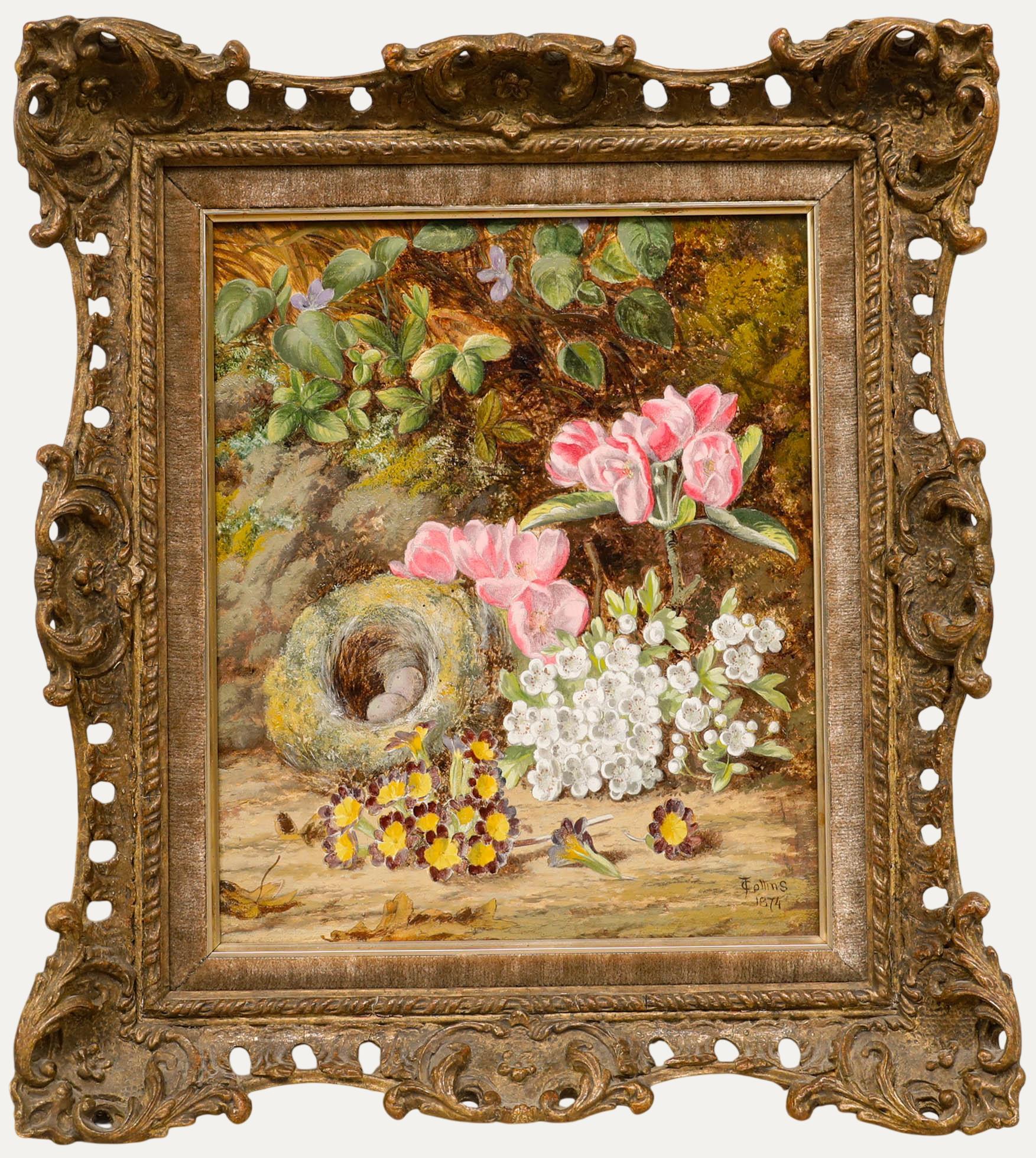 Thomas Collins (1835-1893) - Gerahmtes Öl von 1874, Stillleben mit Vogelnest