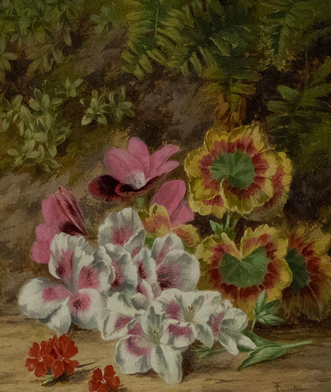 Thomas Collins (fl.1857-1893) - Framed Oil, Pink Primrose & Geranium Leaves - Painting by Unknown