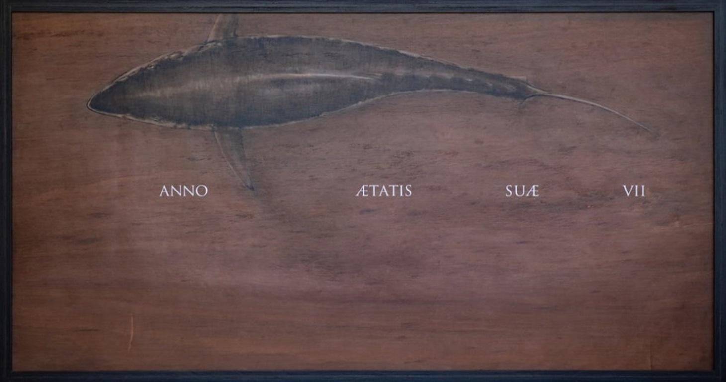 Thunnus thynnus (Tonno rosso dell'Atlantico), di Joseph Rossano, 2022