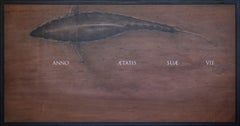 Thunnus thynnus (Tonno rosso dell'Atlantico), di Joseph Rossano, 2022