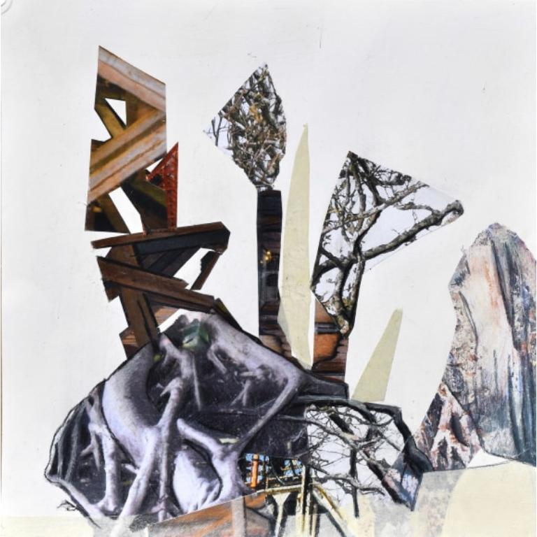 Trapianto Serie III Disegno di Jennifer Gunlocke, 2024 - Art di Unknown