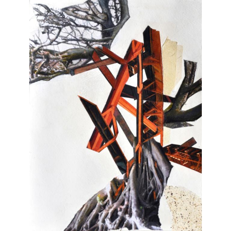 Trapianto Serie IV Disegno di Jennifer Gunlocke, 2024 - Art di Unknown