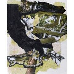 Serie di trapianti XXVII Disegno di Jennifer Gunlocke, 2024