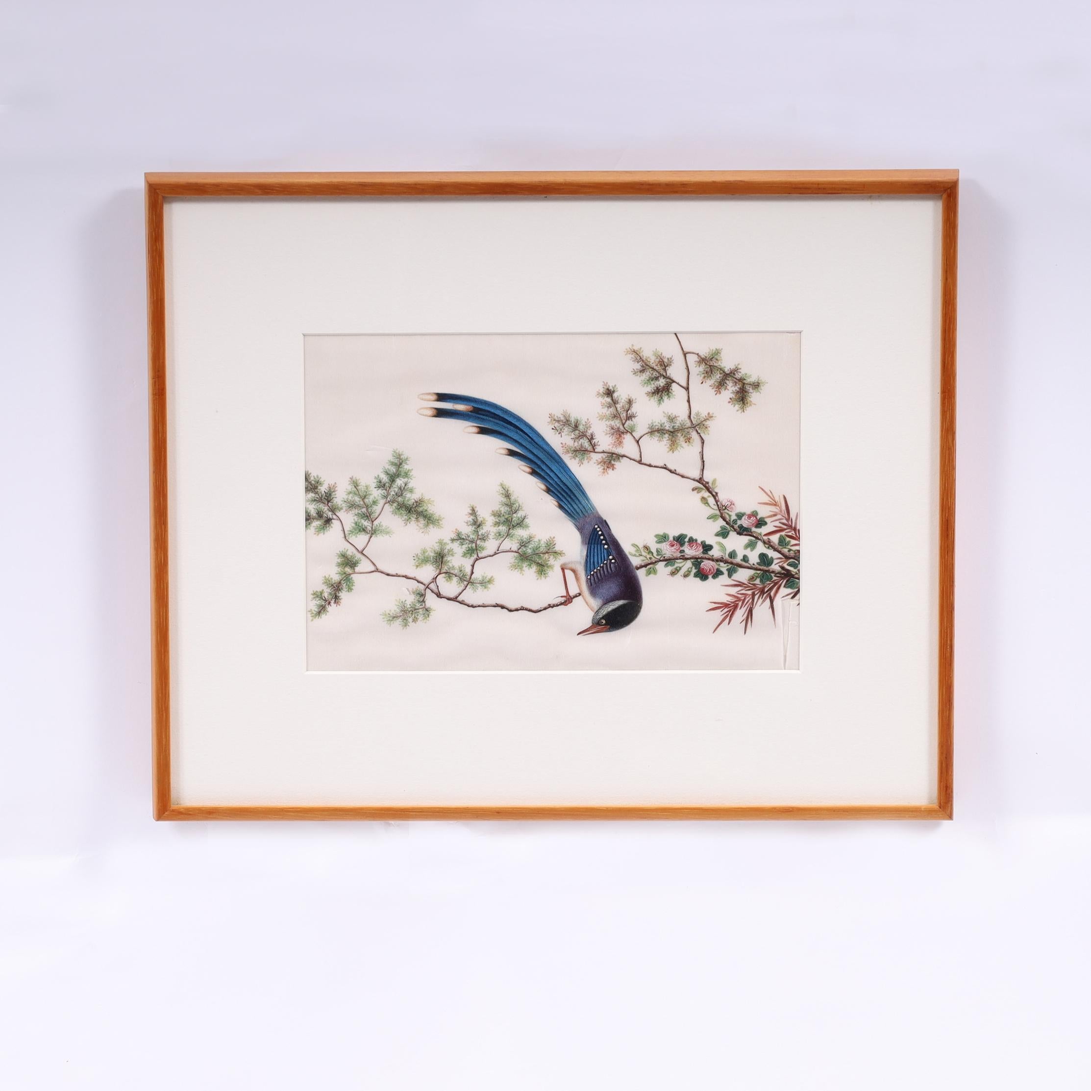 Antike chinesische Gouache-Gemälde von Vögeln auf Kissenpapier, antik im Angebot 4