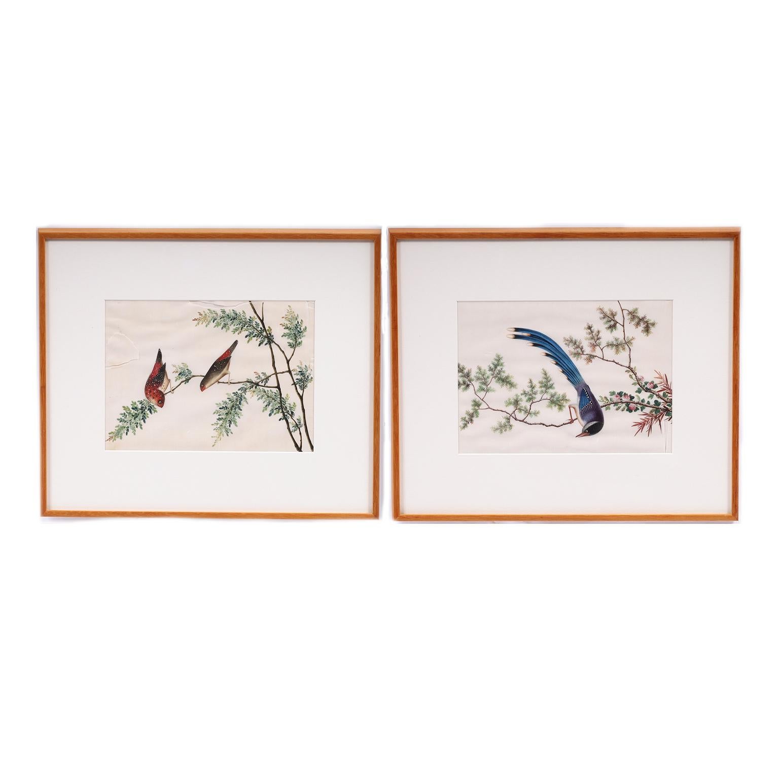 Antike chinesische Gouache-Gemälde von Vögeln auf Kissenpapier, antik – Painting von Unknown