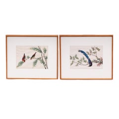 Antike chinesische Gouache-Gemälde von Vögeln auf Kissenpapier, antik