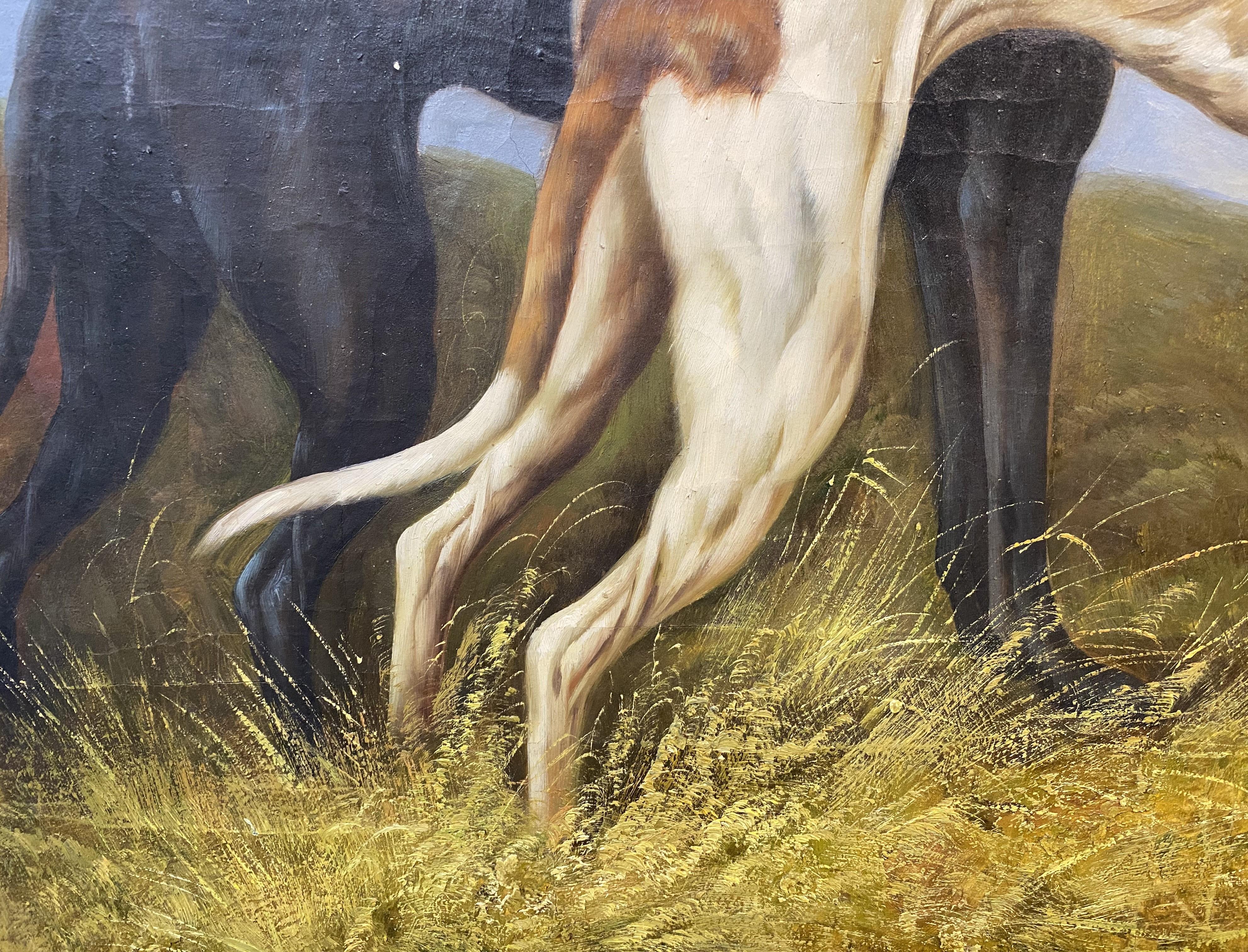 Dos perros galgos en venta 1