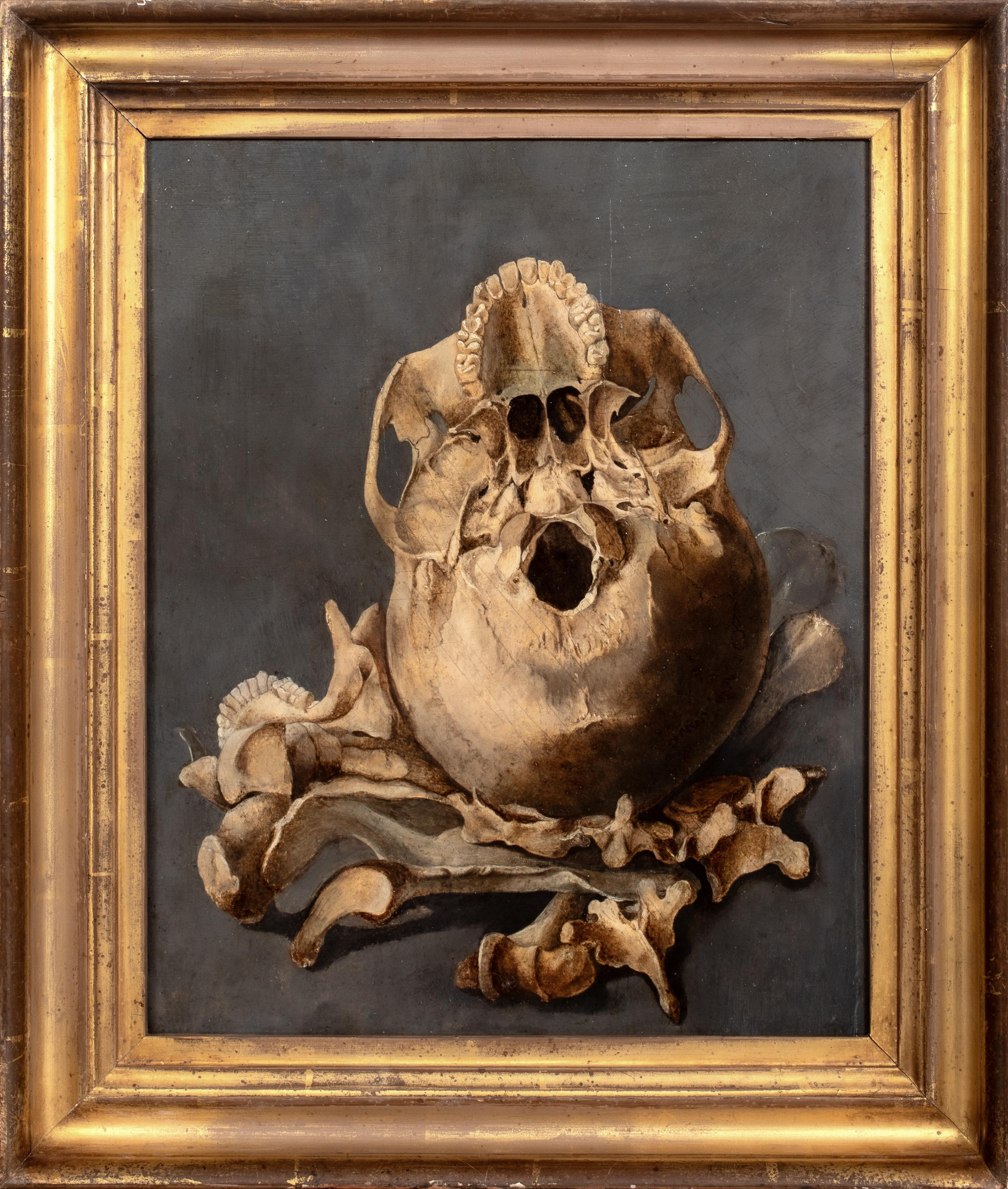 Vanitas Still Life Of The Base Of A Skull & Bones, oil on panel