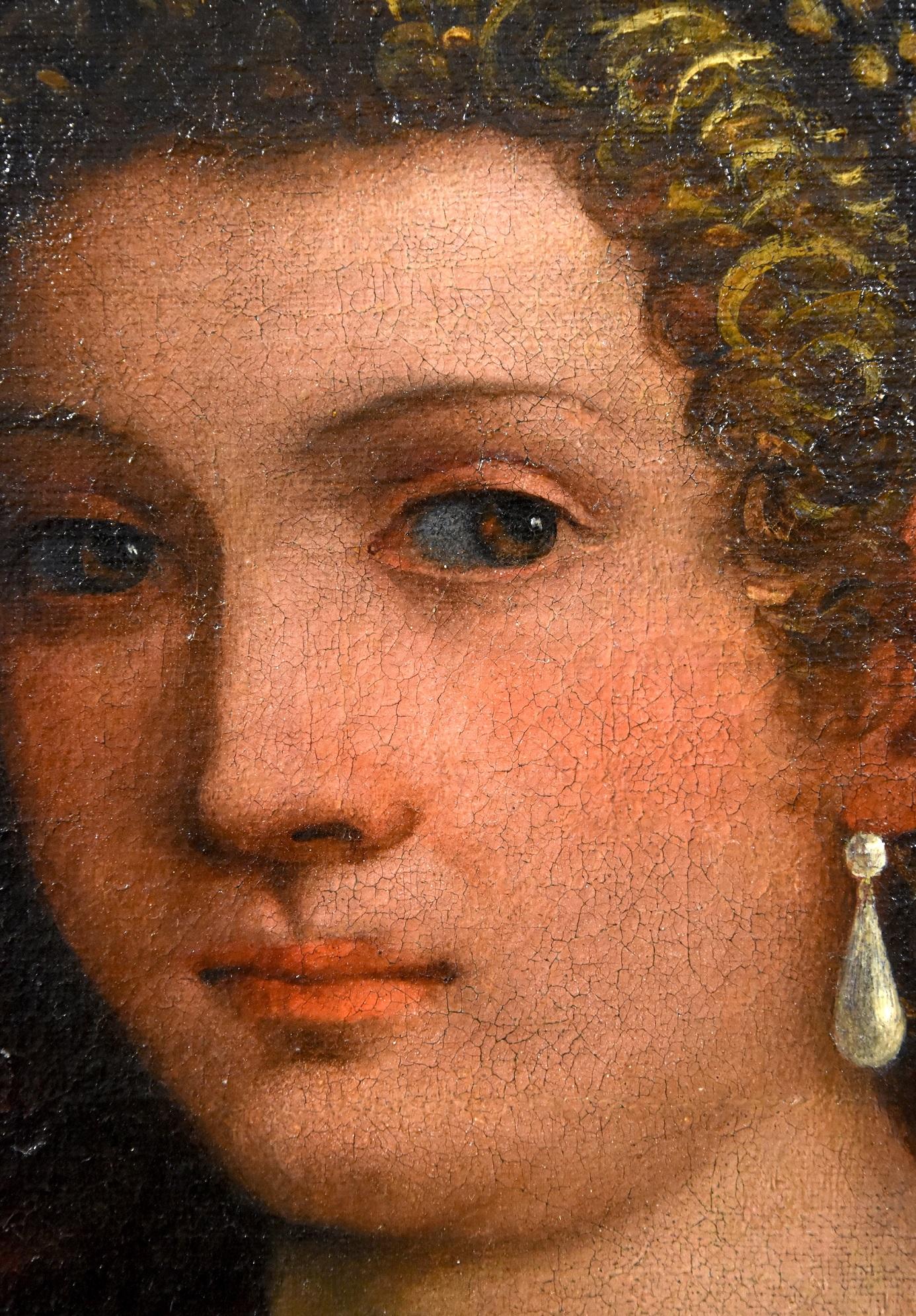 Venus Paolo Fiammingo Paint Oil on canvas Old master 16th Century Italian Art For Sale 9