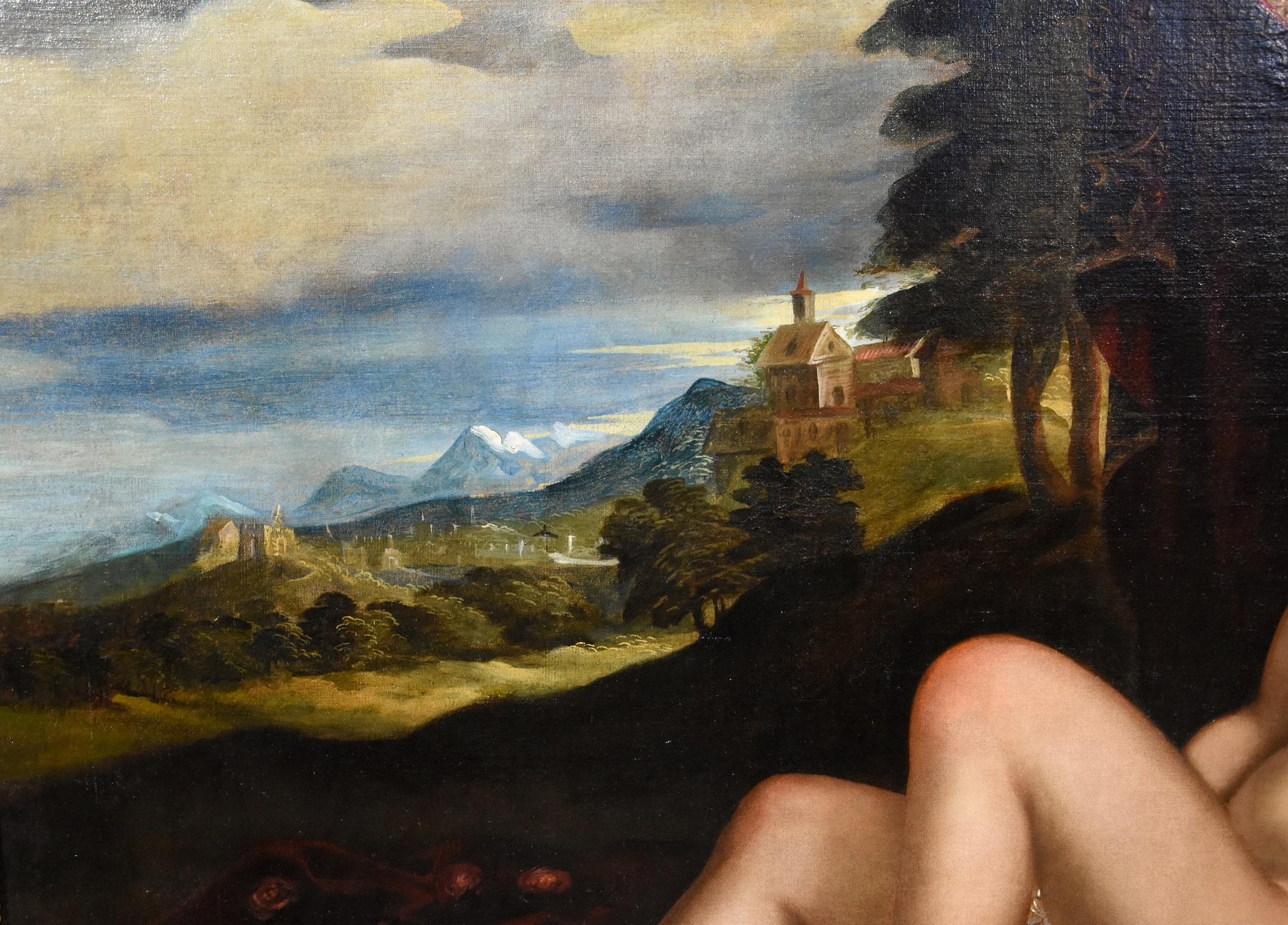 Venus Paolo Fiammingo Paint Oil on canvas Old master 16th Century Italian Art For Sale 2