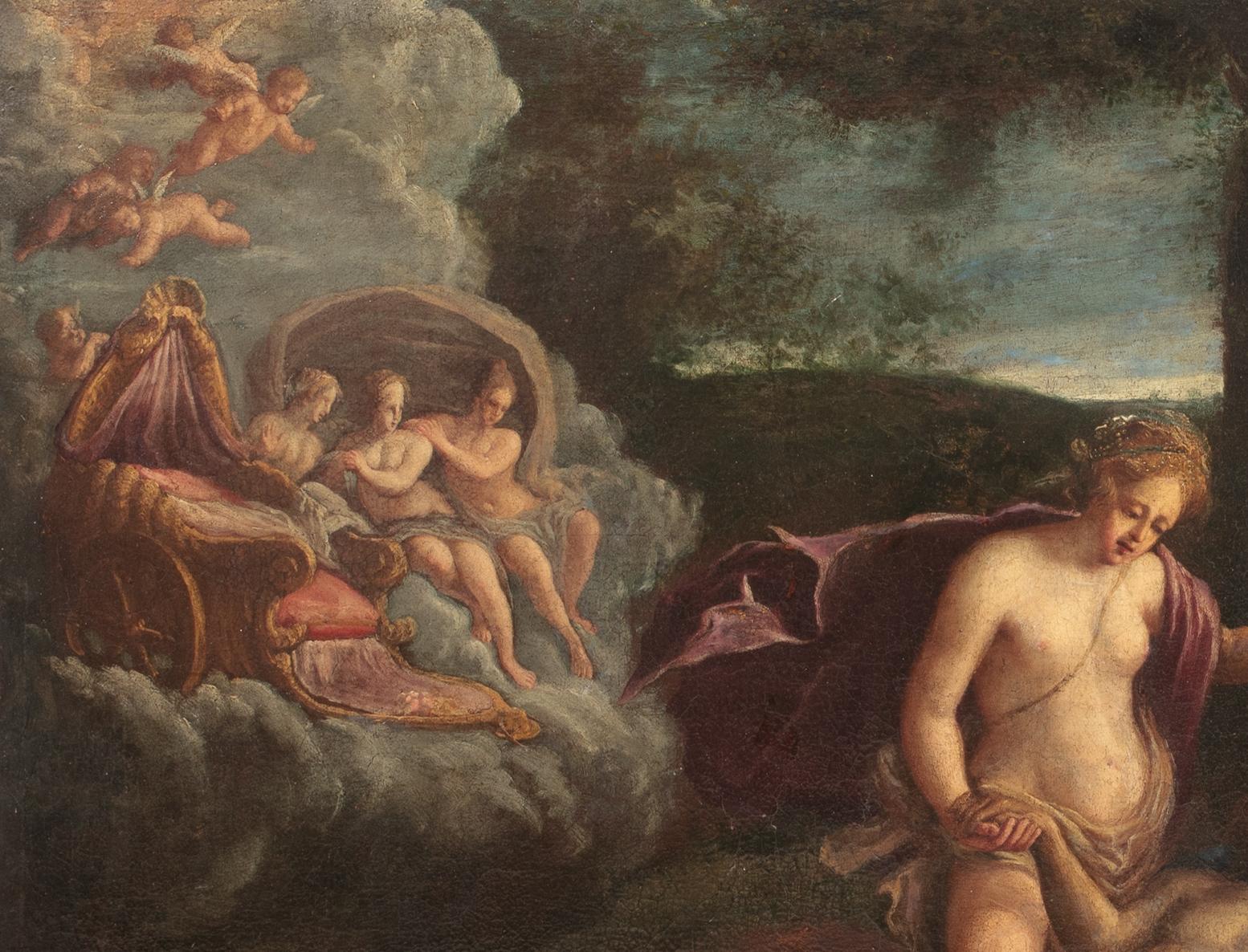 Vénus et la mort d'Adonis, 17e siècle  Venetian School 6