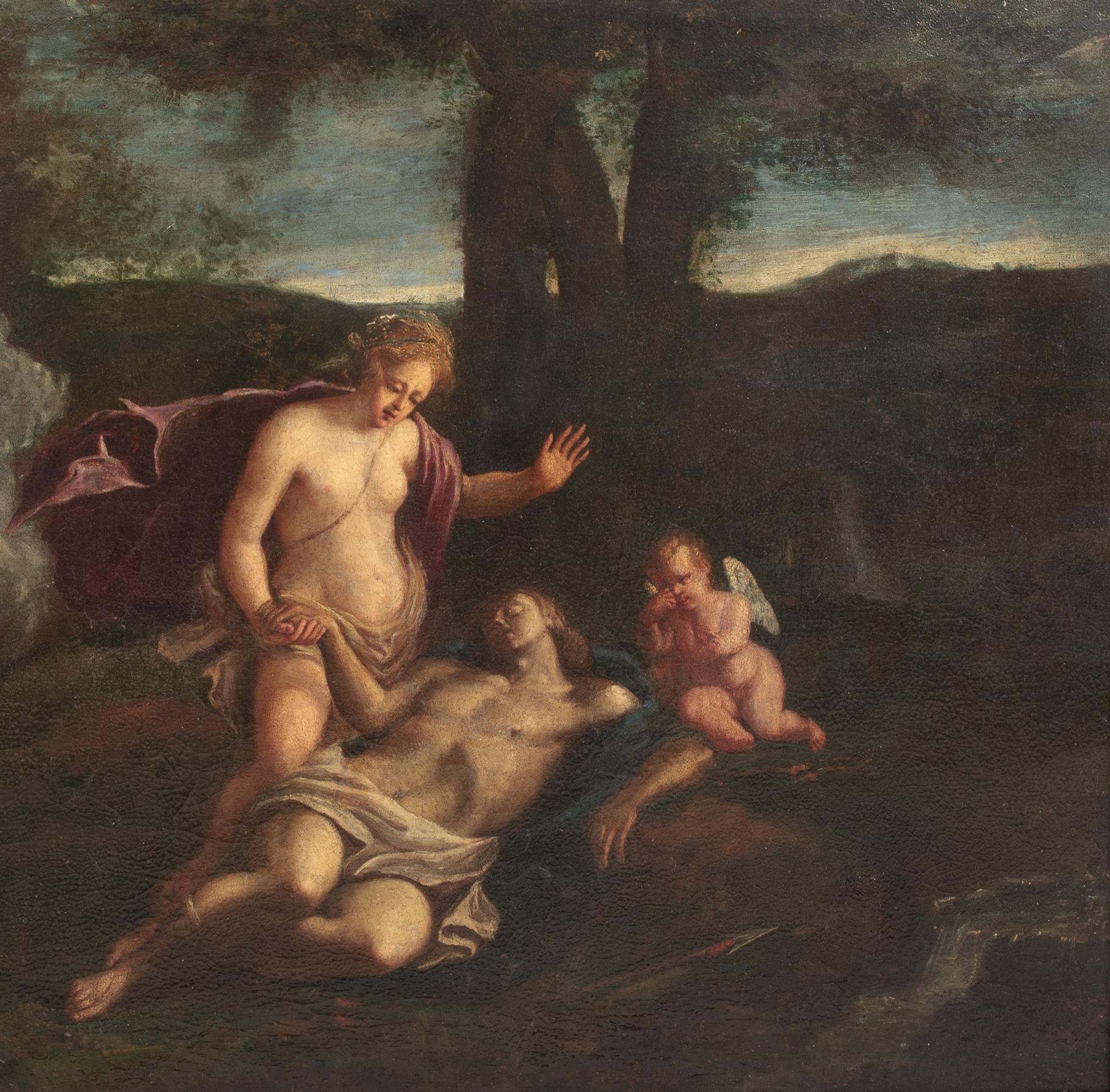 Vénus et la mort d'Adonis, 17e siècle  Venetian School 1