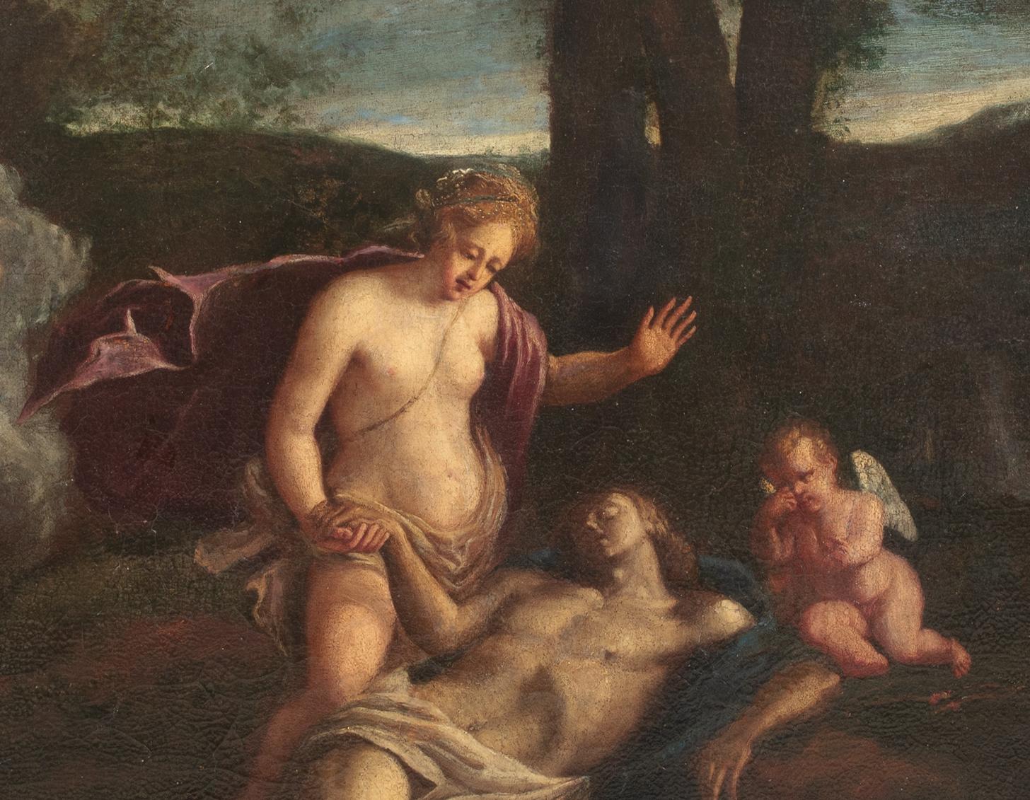 Vénus et la mort d'Adonis, 17e siècle  Venetian School 2