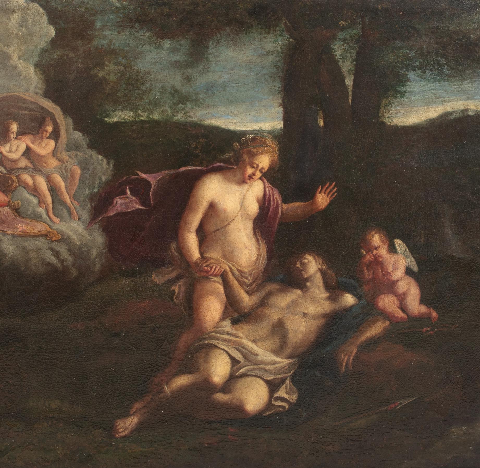 Vénus et la mort d'Adonis, 17e siècle  Venetian School 3
