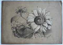 Victorian Botanical Flower Study Pencil Drawing Louisa Wortley 1865