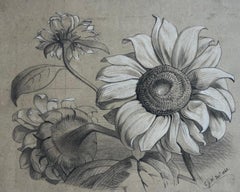 Victorian Botanical Flower Study Pencil Drawing Louisa Wortley 1865