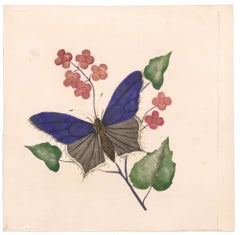 Victorian Butterfly Watercolor