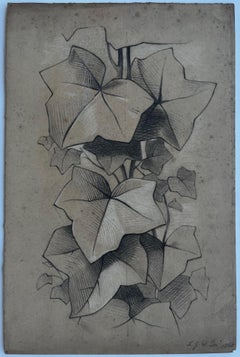 Victorian Ivy Botanical Study Pencil Drawing Louisa Wortley 1865