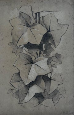 Victorian Ivy Botanical Study Pencil Drawing Louisa Wortley 1865
