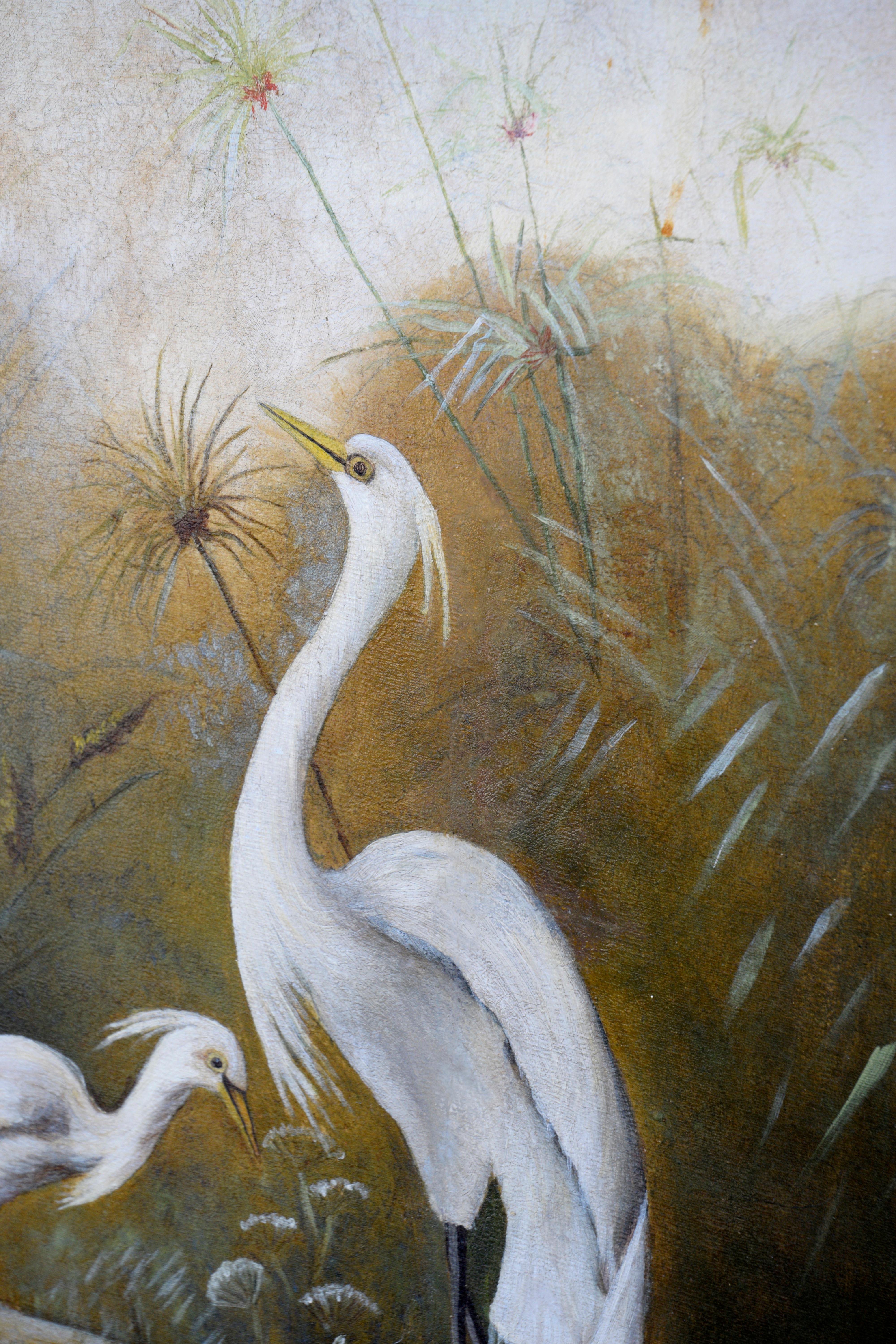 Victorian Snowy Egrets - Naturalistic Painting by Unknown