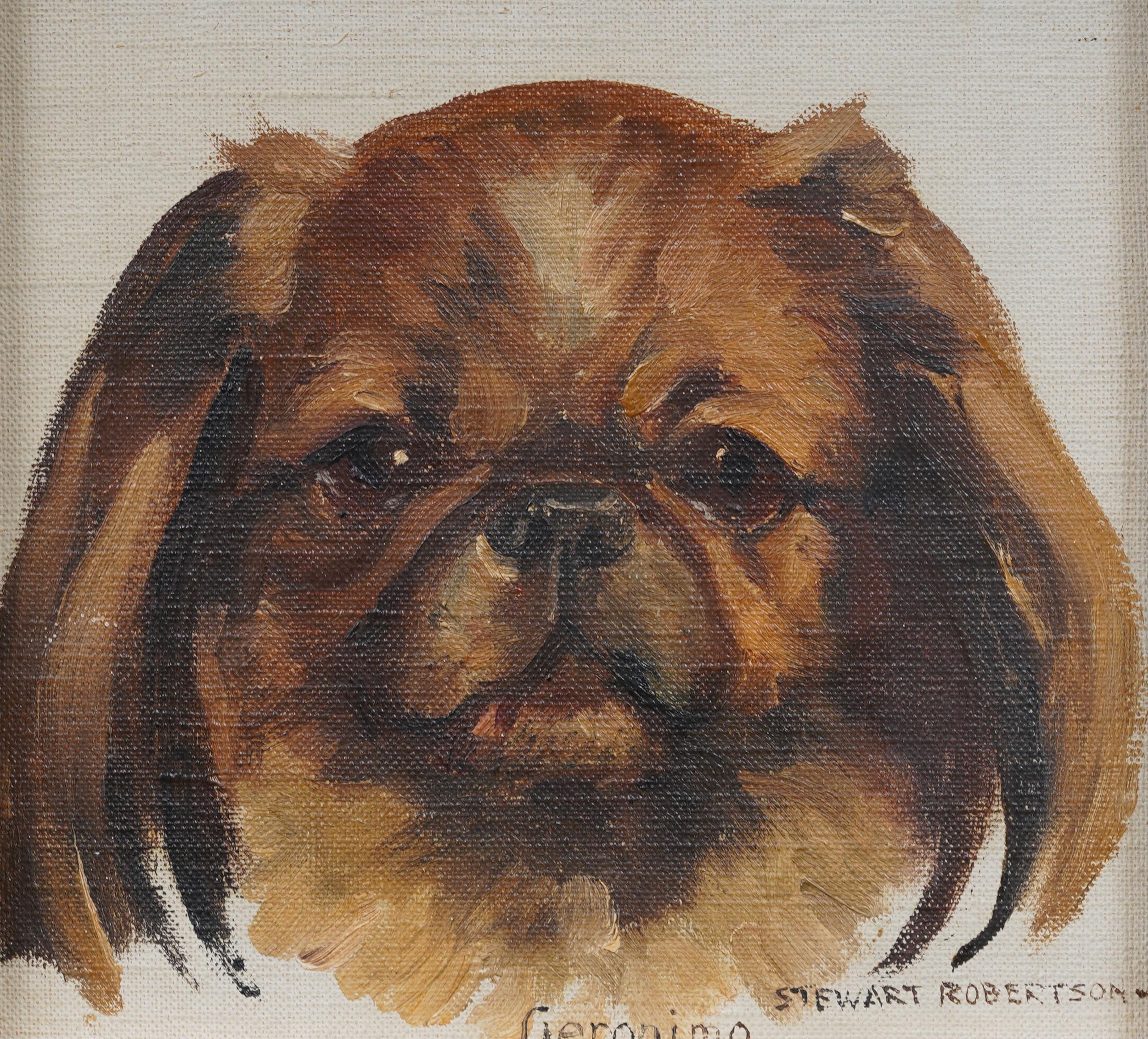 Ritratto di cane impressionista americano d'epoca, dipinto a olio originale incorniciato - Animal Painting Marrone di Unknown