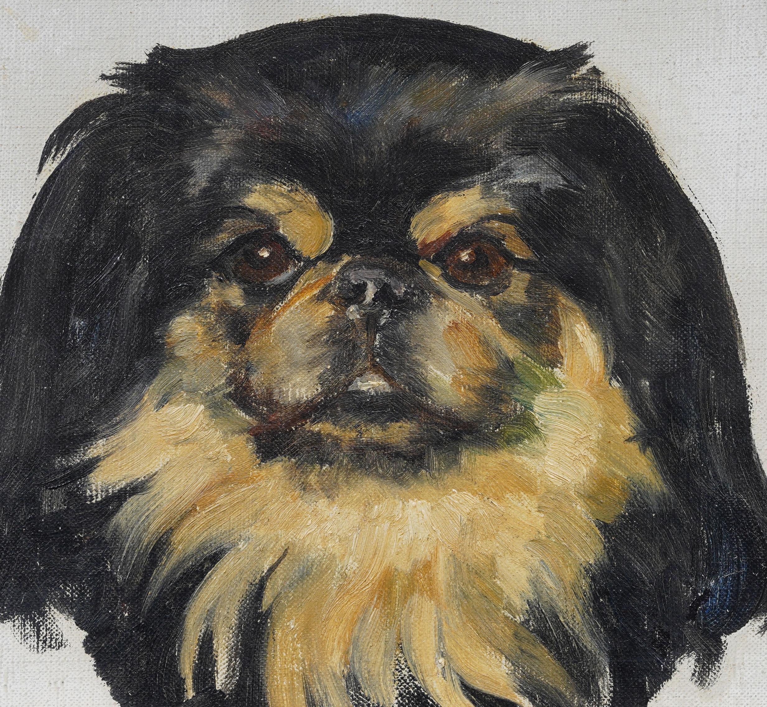 Ritratto di cane impressionista americano d'epoca dipinto a olio. Olio su tavola. Incorniciato. Misura: 9 per 9 pollici.  Splendidamente incorniciato con modanature in legno dorato.  In condizioni eccellenti, pronto per essere appeso e goduto. 