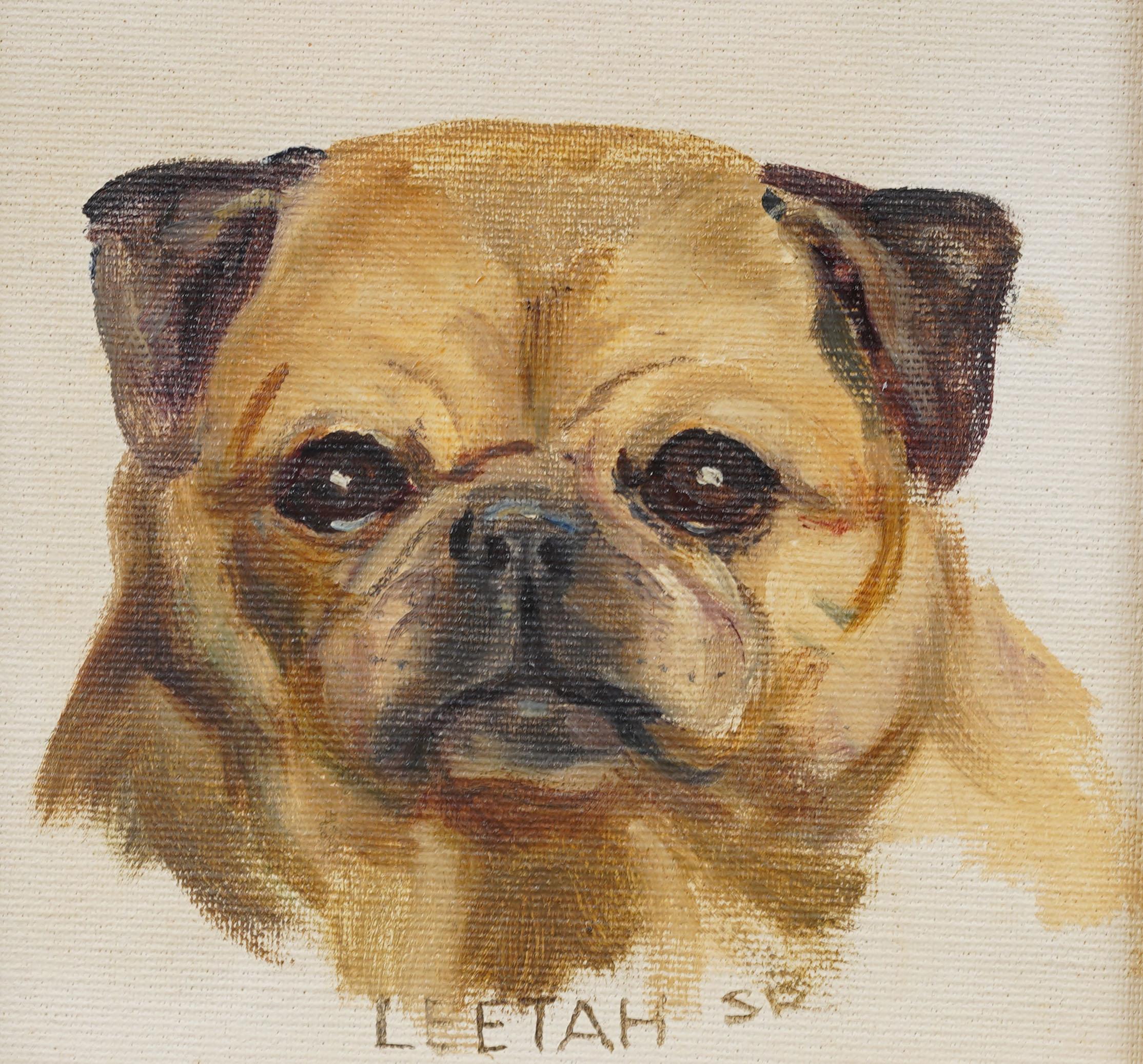 Ritratto di cane impressionista americano d'epoca dipinto a olio. Olio su tavola. Incorniciato. Misura: 9 per 9 pollici.  Splendidamente incorniciato con modanature in legno dorato.  In condizioni eccellenti, pronto per essere appeso e goduto. 