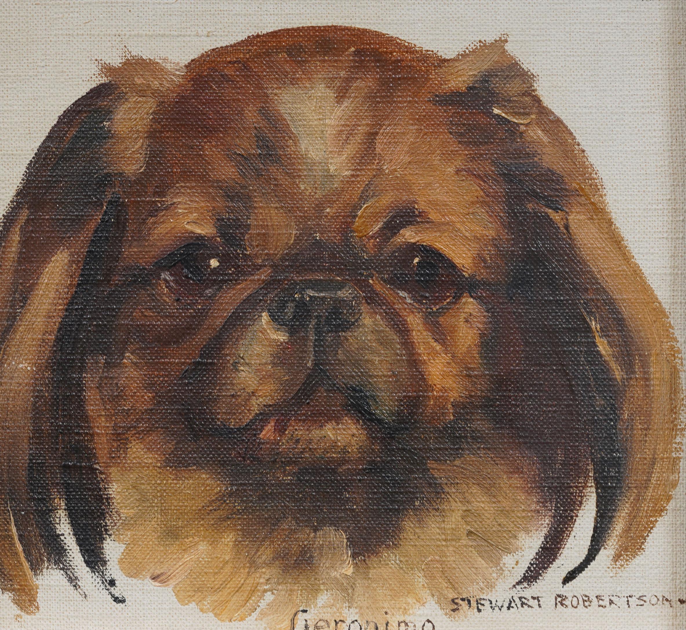 Ritratto di cane impressionista americano d'epoca dipinto a olio. Olio su tavola. Incorniciato. Misura: 9 per 9 pollici.  Splendidamente incorniciato con modanature in legno dorato.  In condizioni eccellenti, pronto per essere appeso e goduto. 