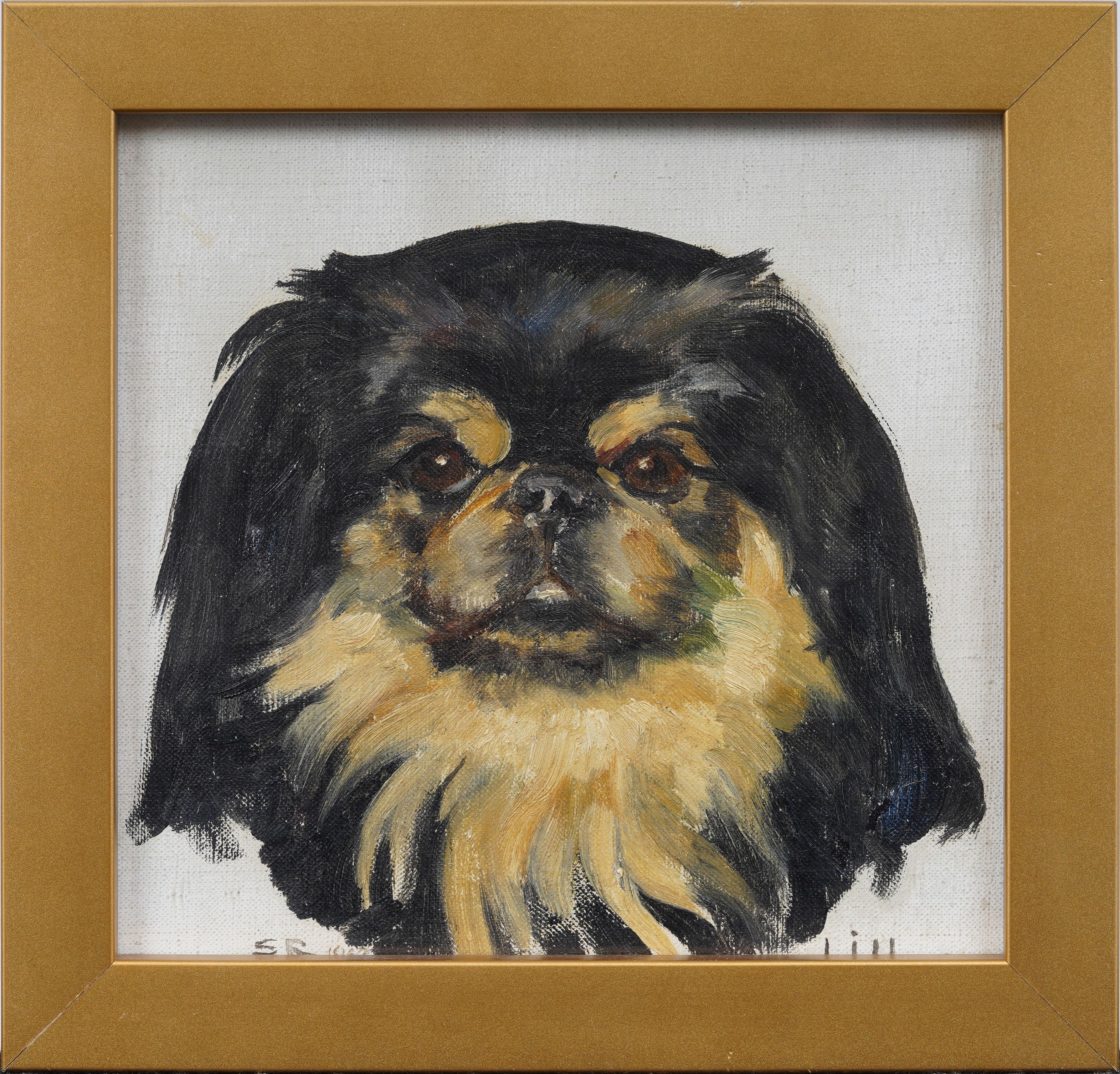 What is a pet portrait?