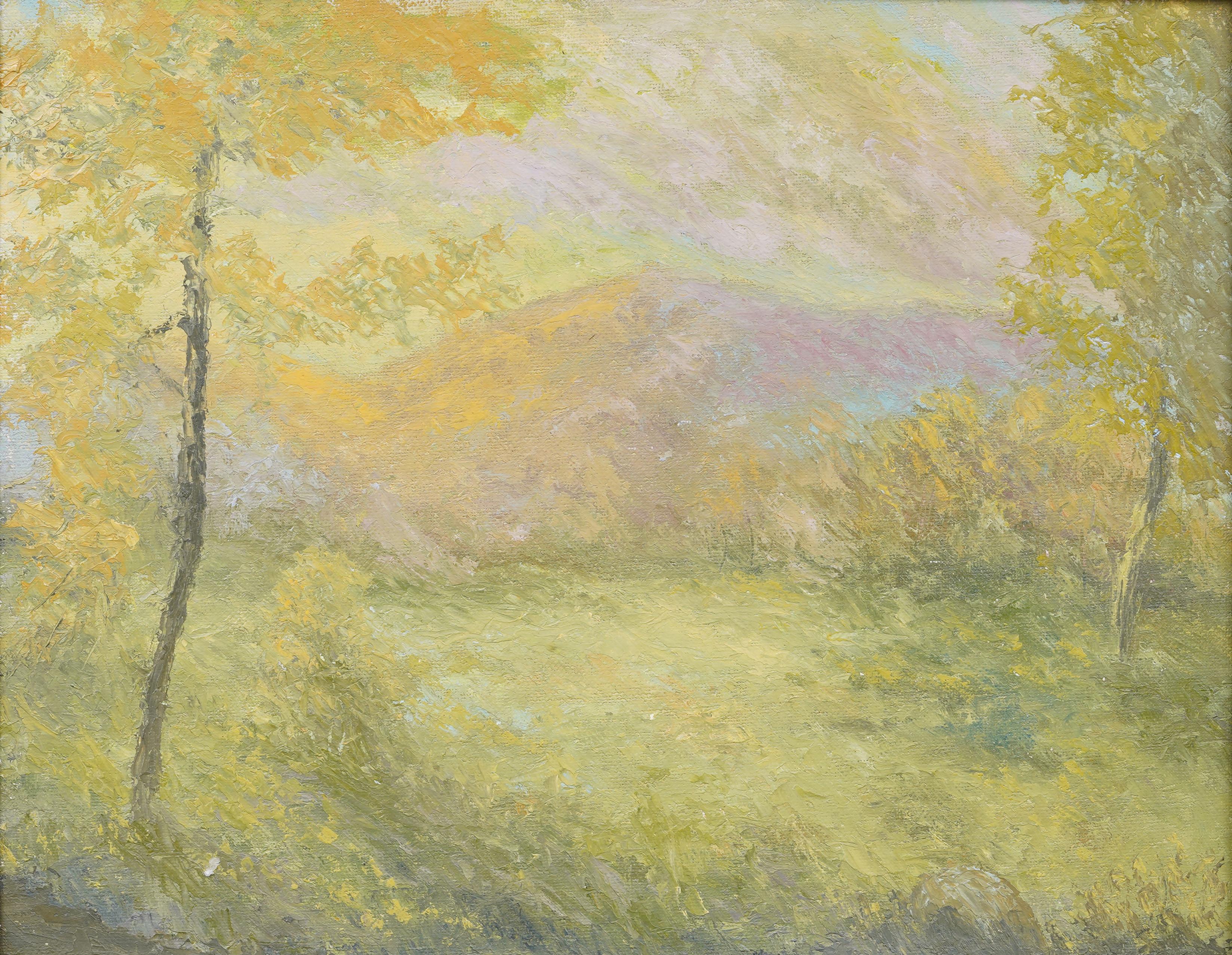Vintage Impressionniste Américain Encadré Paysage de Montagne Original Peinture à l'Huile - Impressionnisme Painting par Unknown