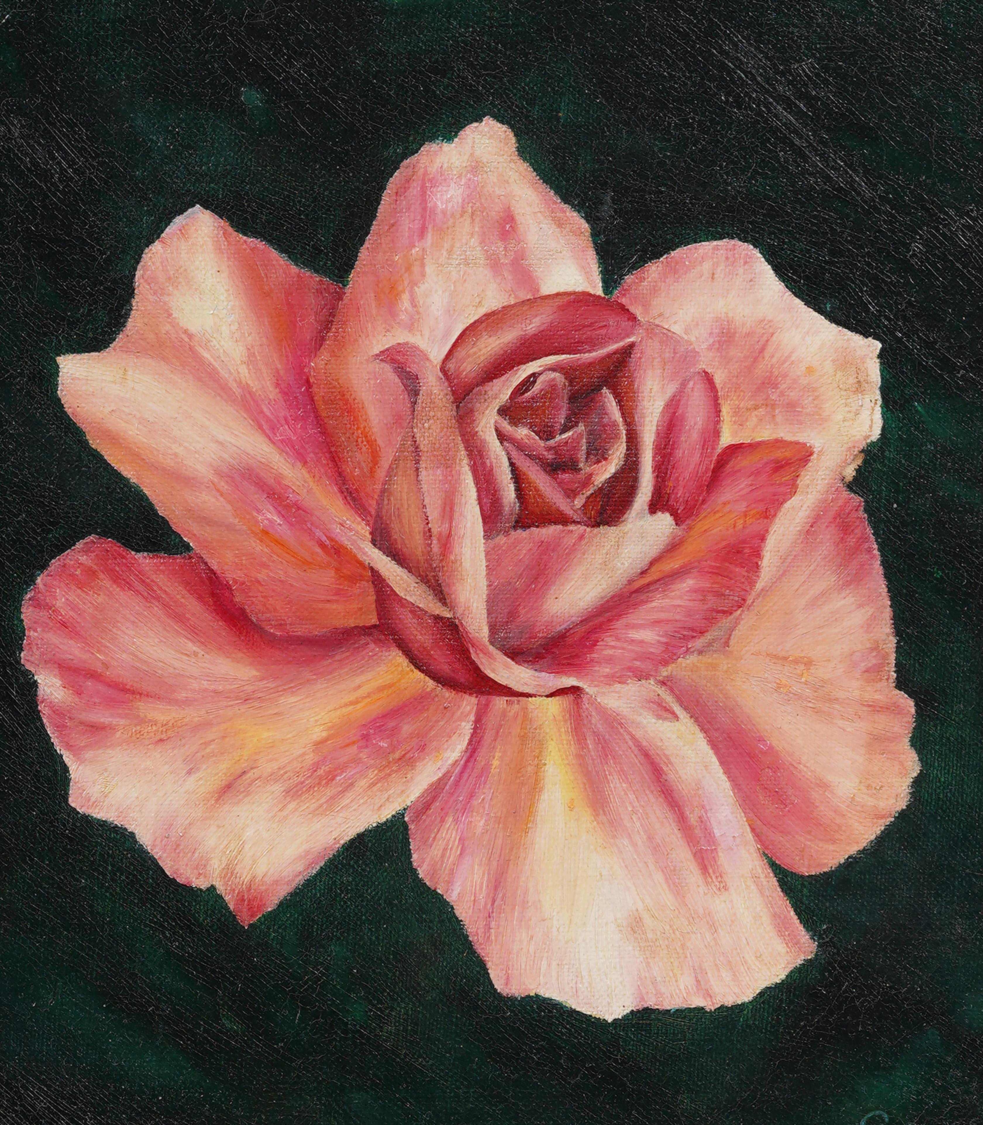 Vintage American School Modernist Rose Flower Still Life Pintura bien enmarcada - Still-Life Painting Marrón de Unknown