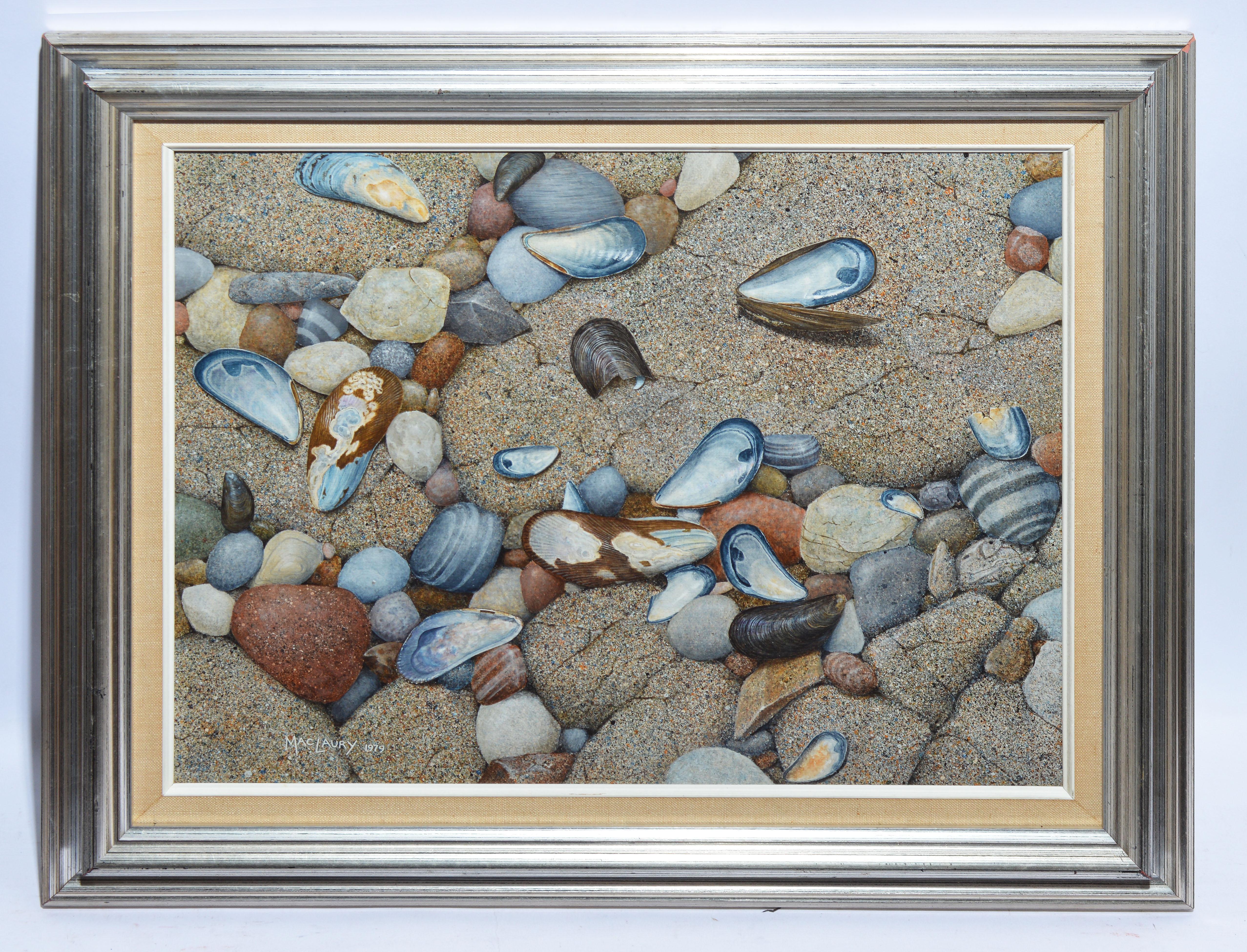 Vintage American School Trompe L'Oeil Beach Shell Still Life Signed Oil Painting - Gray Still-Life Painting by Unknown