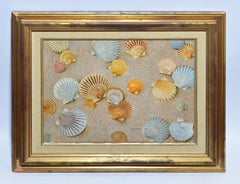 Vintage American School Trompe L'Oeil Beach Shell Still Life Signed Oil Painting