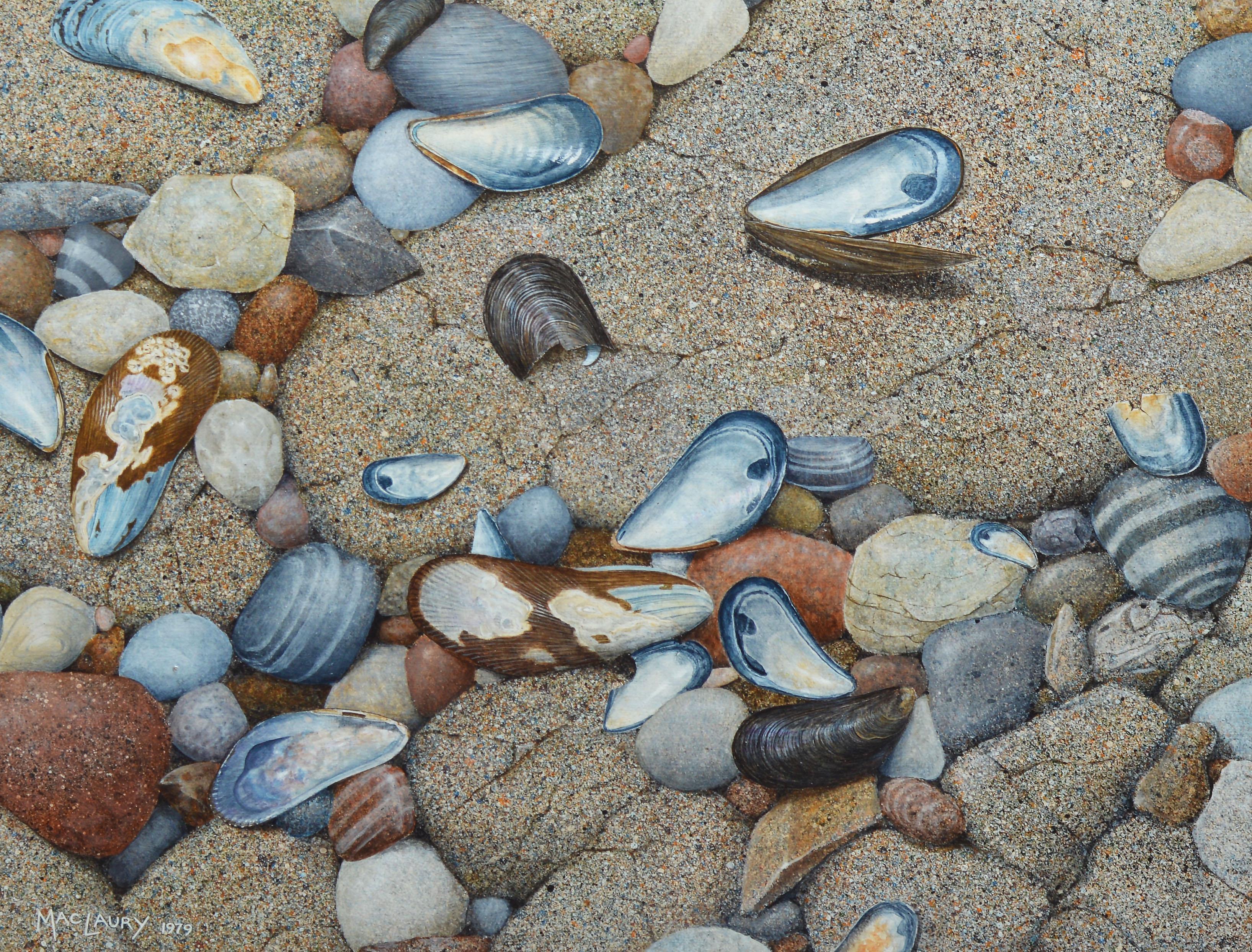 Vintage American School Trompe L'Oeil Beach Shell Still Life Signed Oil Painting 1