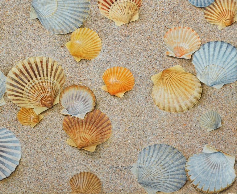 Unknown Vintage American School Trompe L Oeil Beach Shell Still Life Signed Oil Painting At 1stdibs